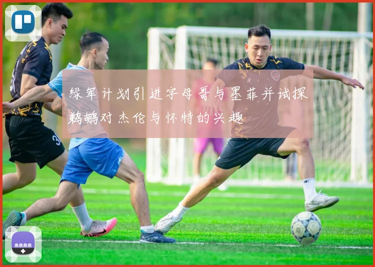 绿军计划引进字母哥与墨菲并试探鹈鹕对杰伦与怀特的兴趣